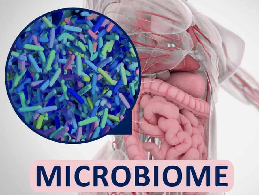 Infografía de la localización de la microbiota / microbioma