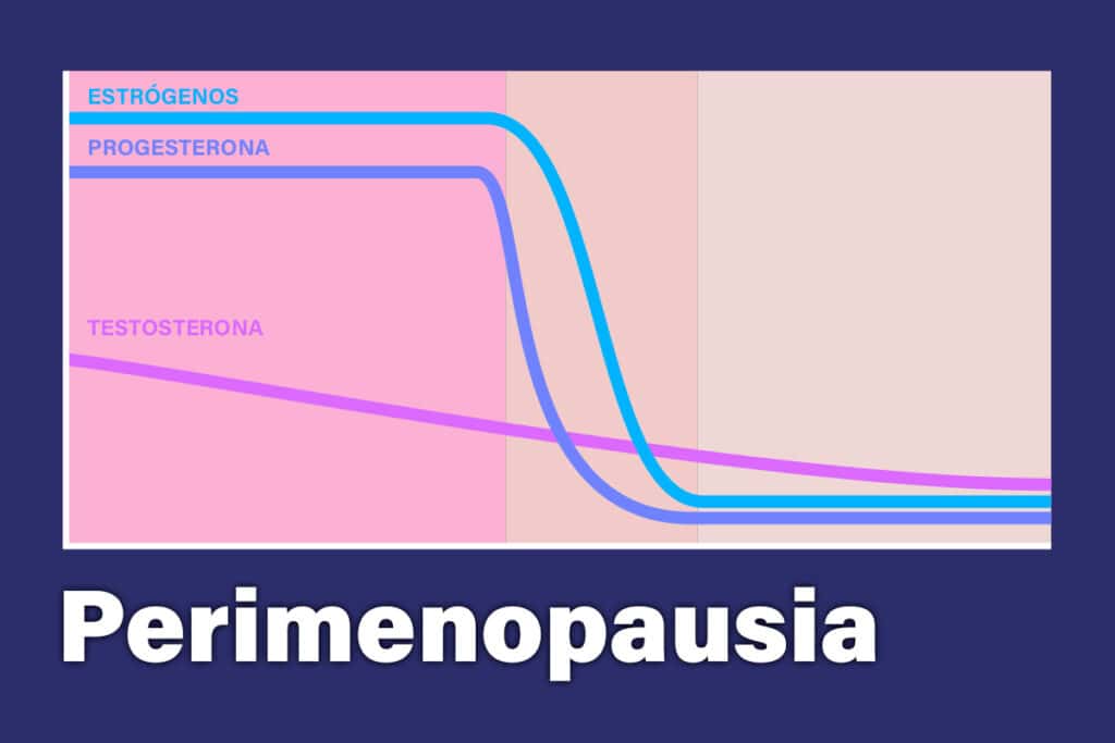 Que es la perimenopausia y gráfica son los niveles de hormonas