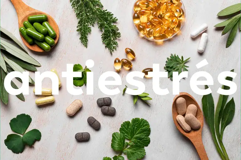 Antisteres - avec les fruits et les pâtes.