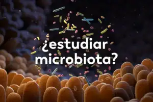 Ilustración médica del sistema digestivo humano destacando el ecosistema de bacterias y microorganismos que forman la microbiota intestinal.